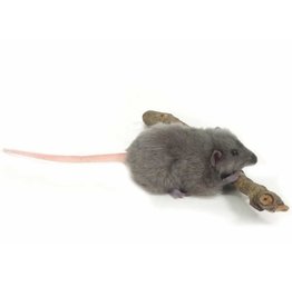 Hansa knuffels Hansa Creation rat gray