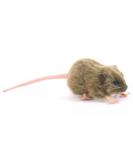 Hansa knuffels Brown rat soft toy Hansa