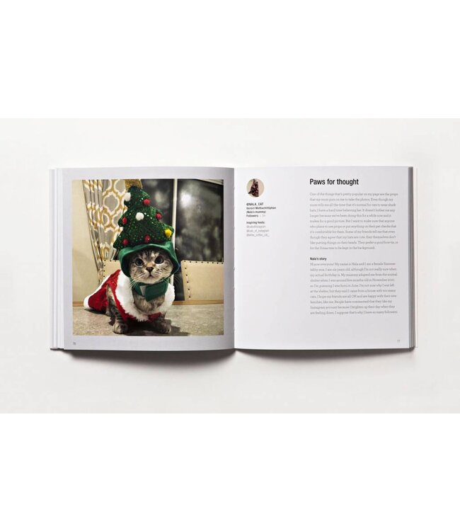 Read This if You Want to Be Instagram Famous