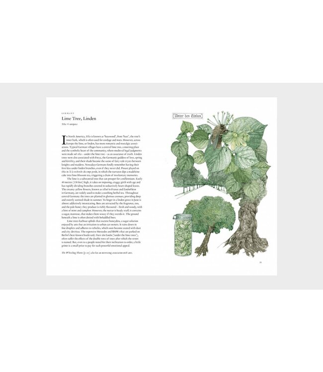 Around the World in 80 Trees