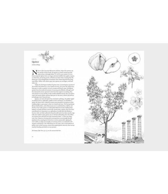 Around the World in 80 Trees