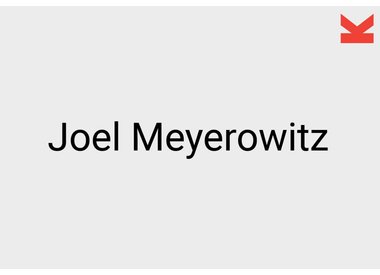 Joel Meyerowitz