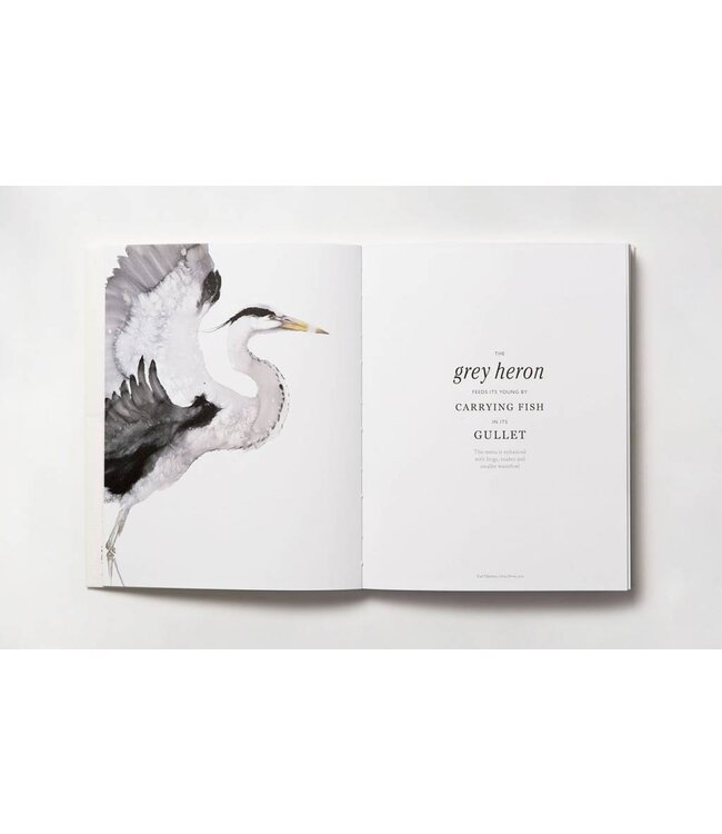 The Book of the Bird