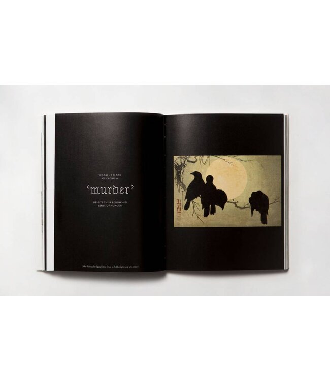 The Book of the Bird