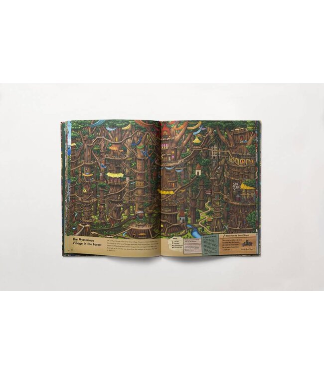 Pierre the Maze Detective