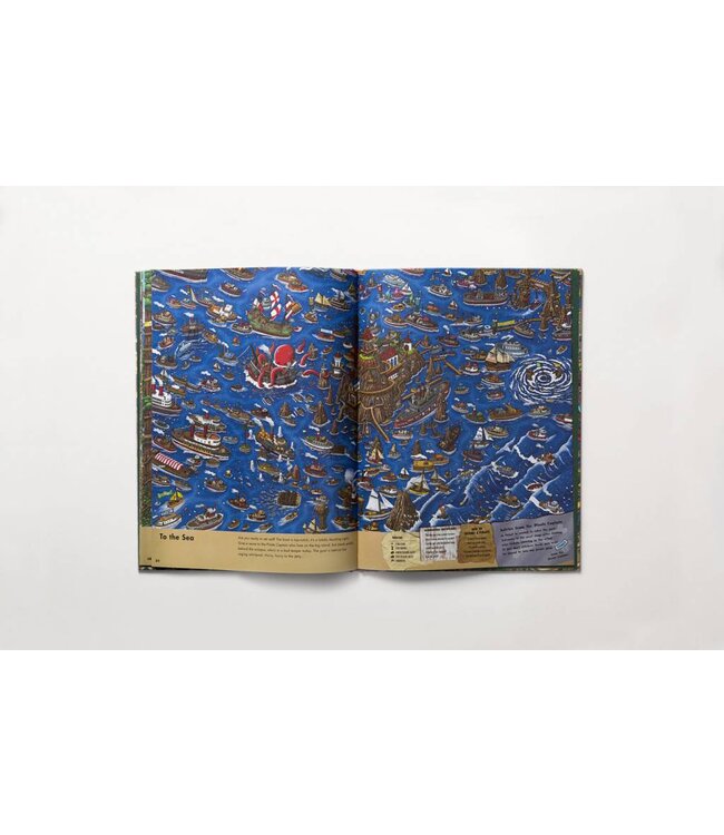 Pierre the Maze Detective