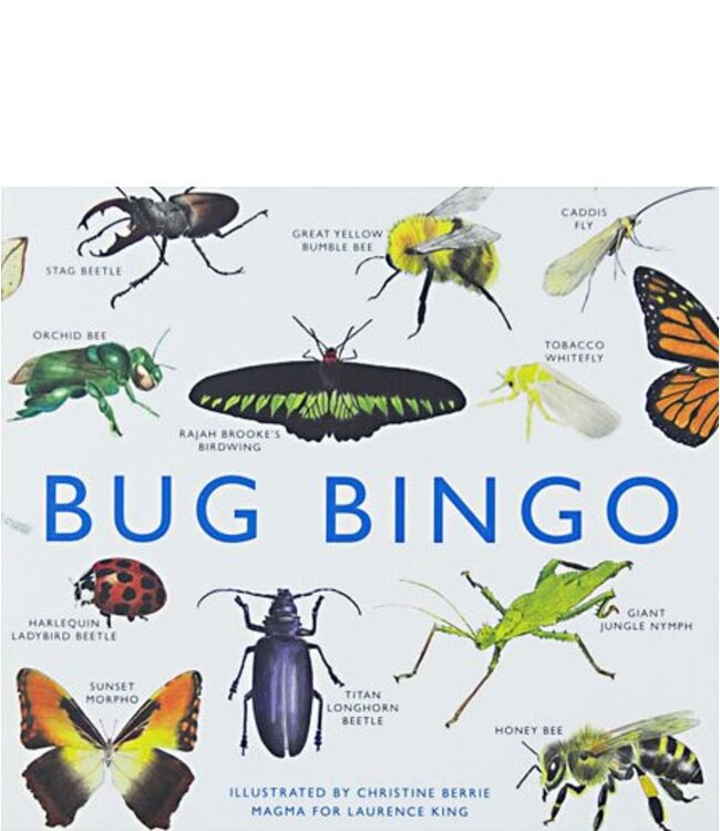 Bug Bingo