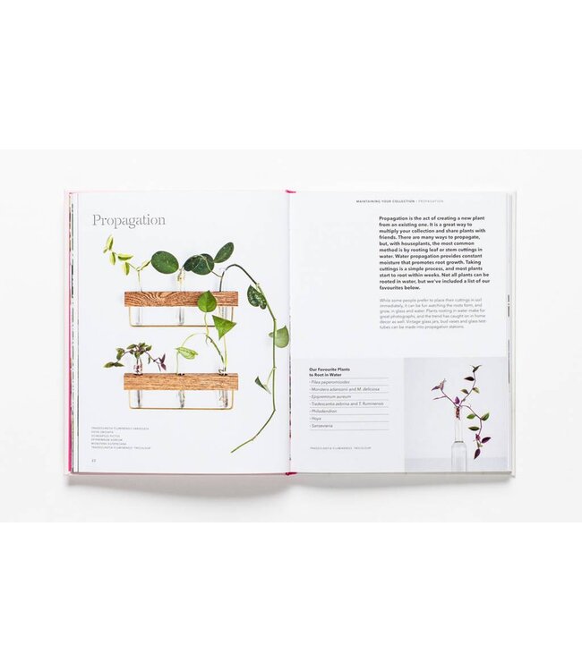 How to Raise a Plant