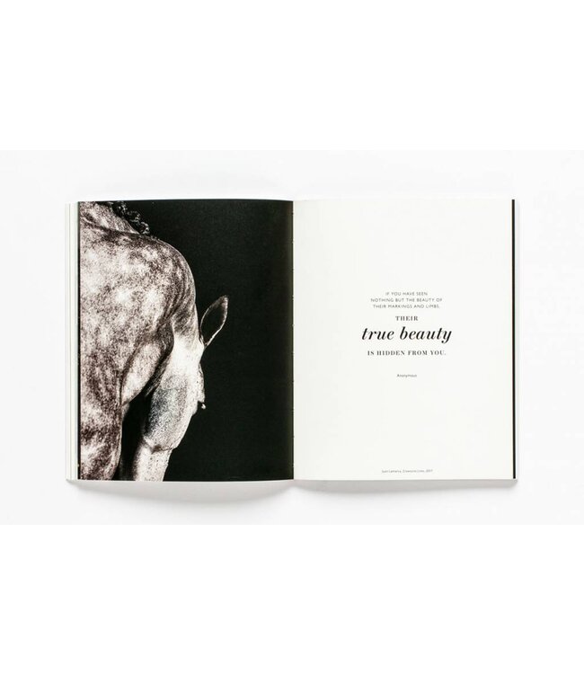 The Book of the Horse