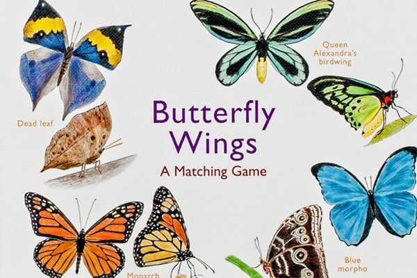 Butterfly Wings cover