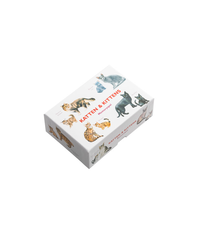 Katten & kittens memoryspel