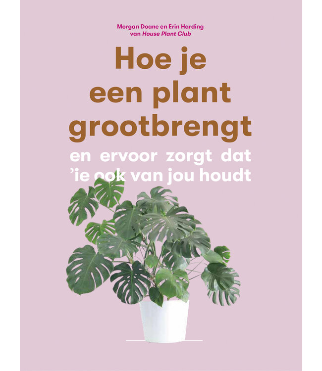 Hoe je een plant grootbrengt