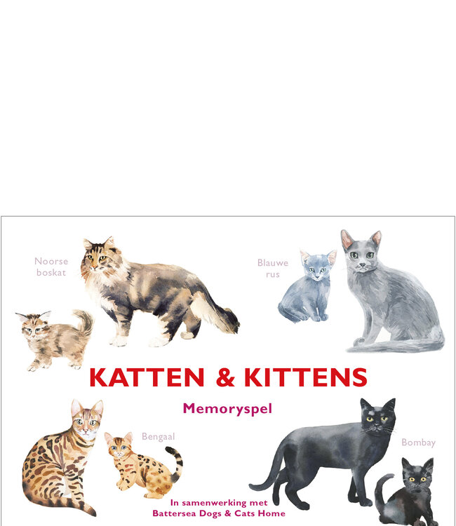Katten & kittens memoryspel