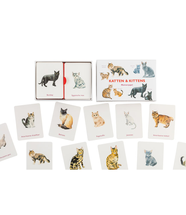Katten & kittens memoryspel