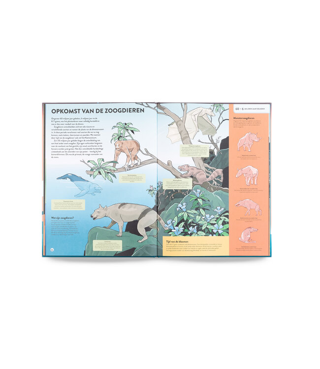 De geschiedenis van de aarde