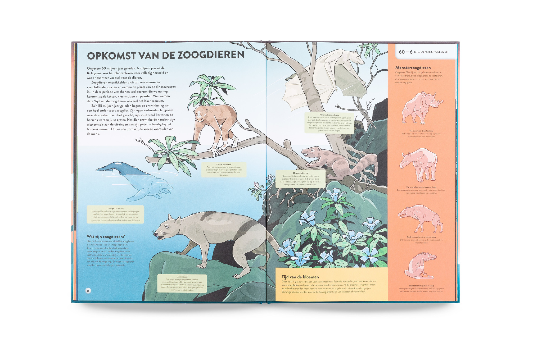 BIS | De geschiedenis van de aarde | A. Claybourne & J. Van Der Veken