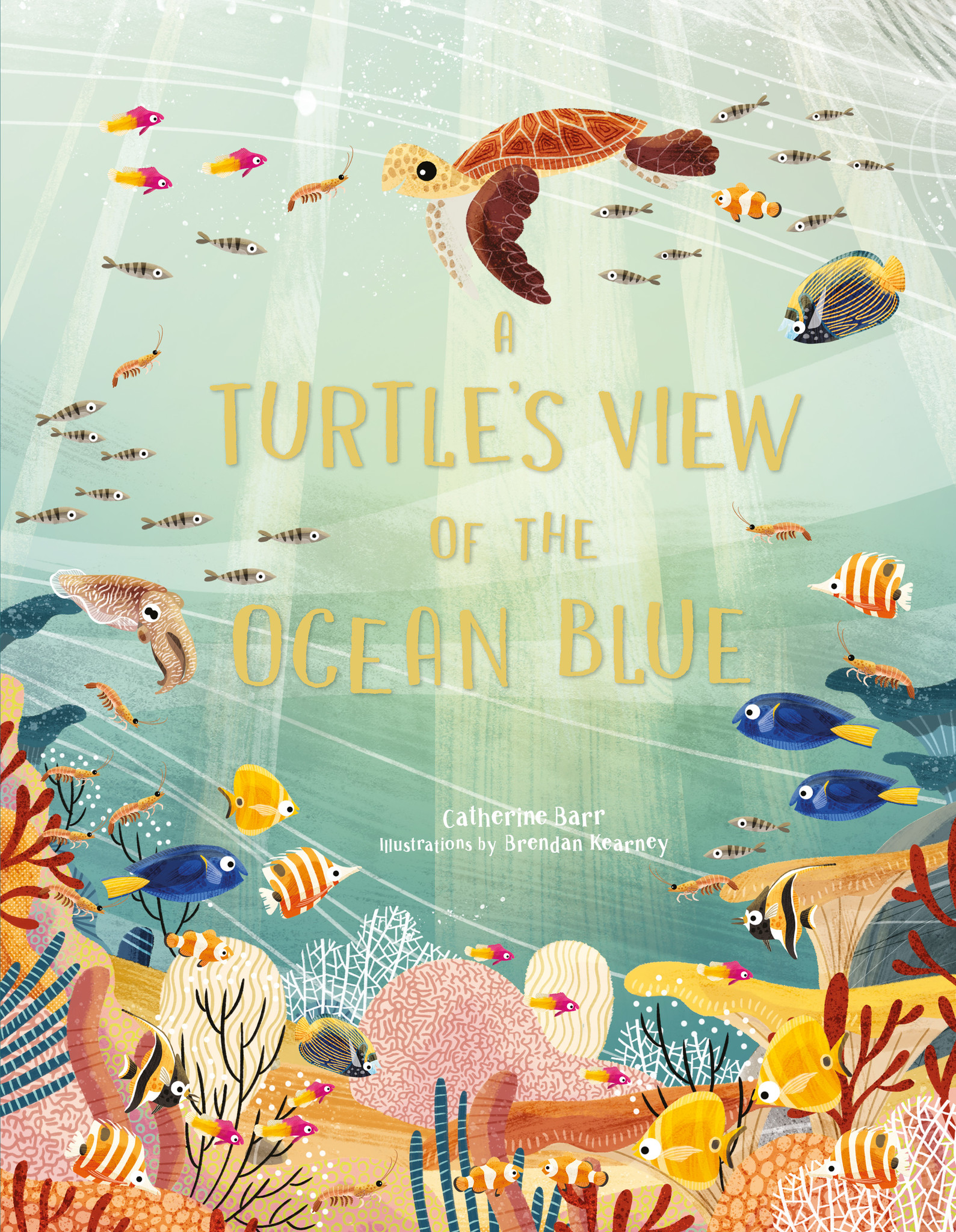 Fishes & Turtles – P