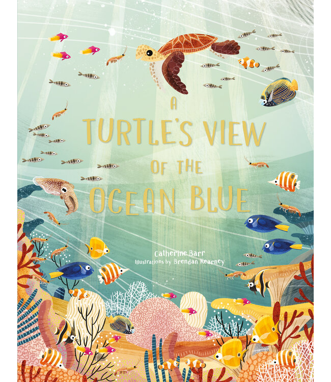 A Turtle's View of the Ocean Blue