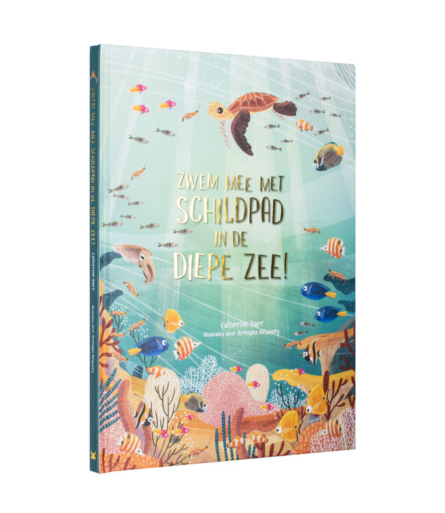 Zwem mee met schildpad in de diepe zee!