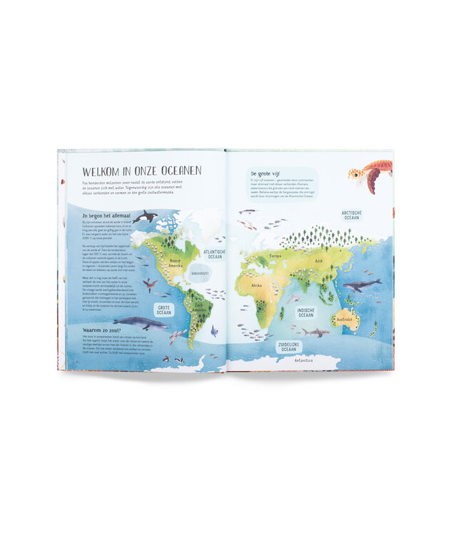 Zwem mee met schildpad in de diepe zee!