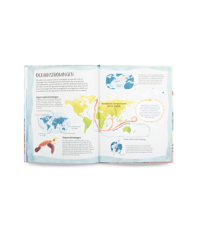 Zwem mee met schildpad in de diepe zee!