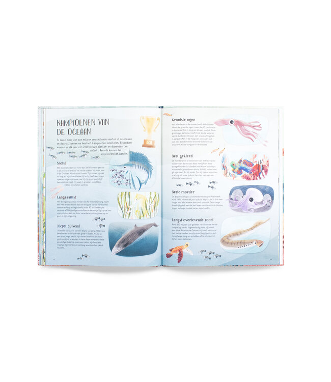 Zwem mee met schildpad in de diepe zee!