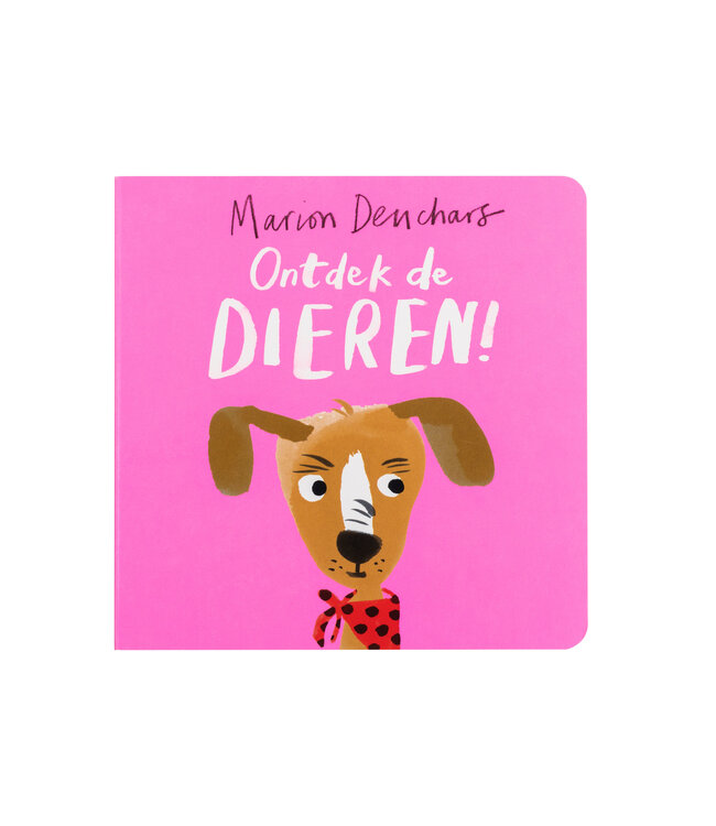 Ontdek de dieren!