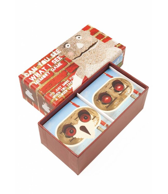 Can You See What I See Memory Game