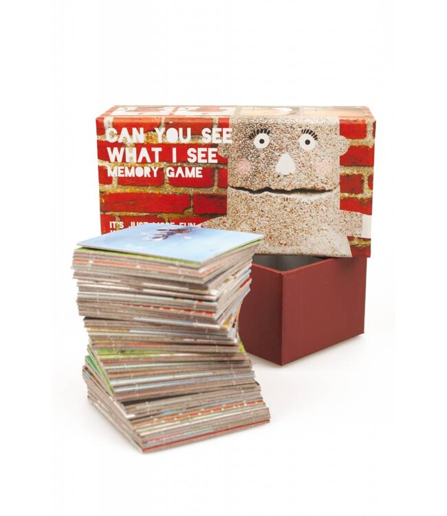 Can You See What I See Memory Game