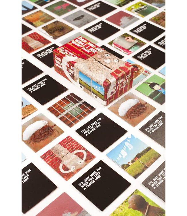 Can You See What I See Memory Game