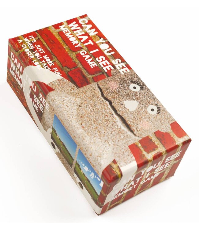 Can You See What I See Memory Game