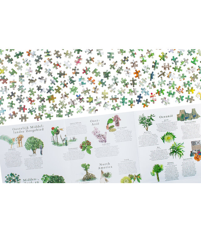 De wereld rond in 50 bomen