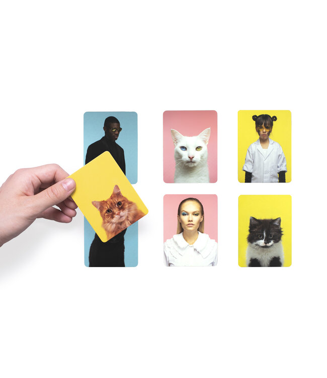 Do You Look Like Your Cat?