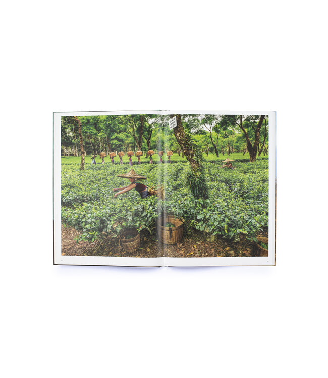 Steve McCurry In Search of Elsewhere