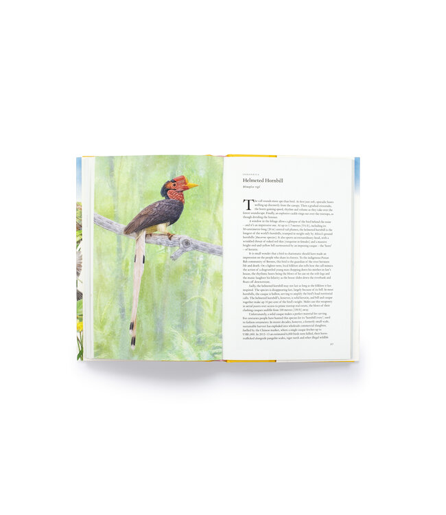 Around the World in 80 Birds