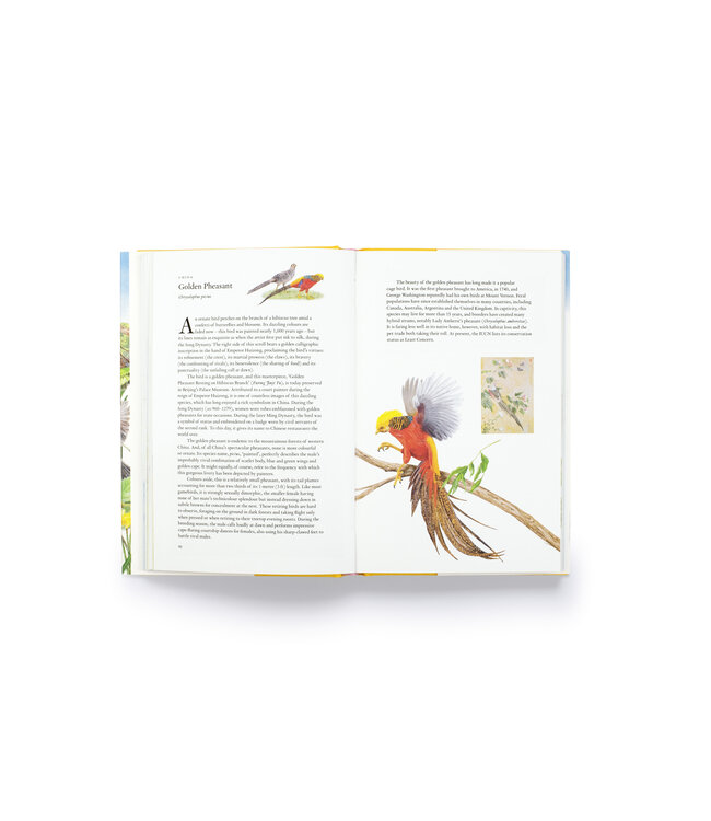 Around the World in 80 Birds