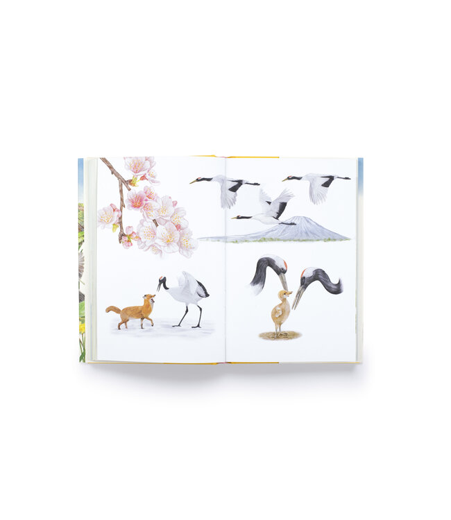 Around the World in 80 Birds