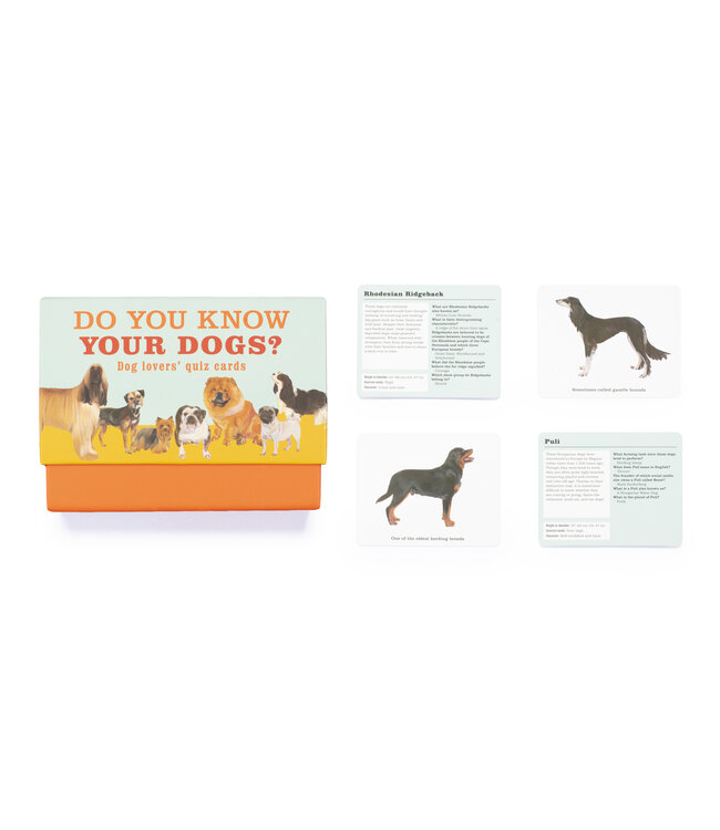 Do You Know Your Dogs?