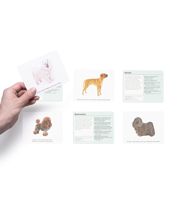 Do You Know Your Dogs?