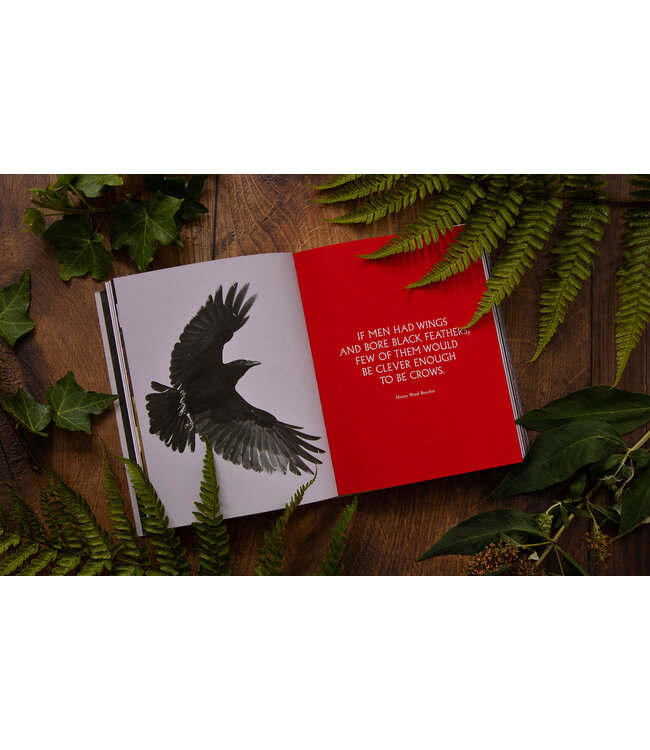 The Book of the Raven