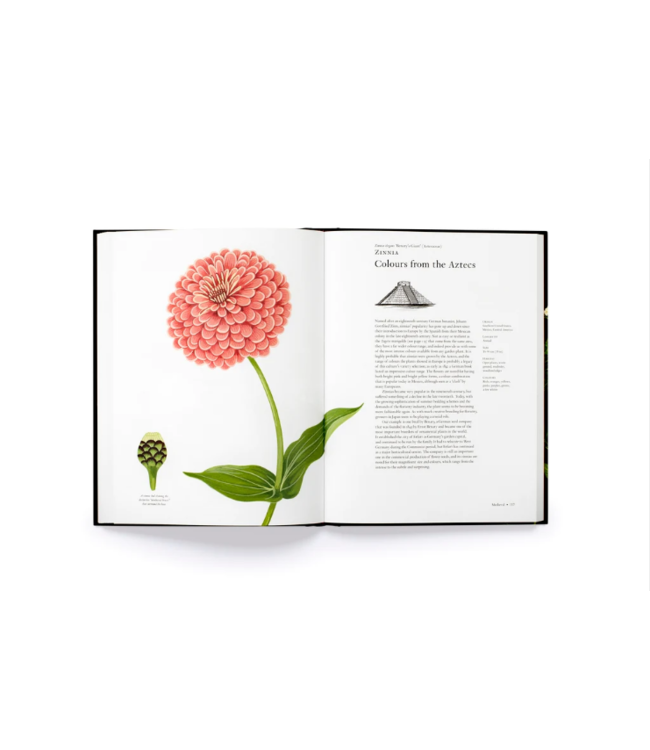 The story of Flowers