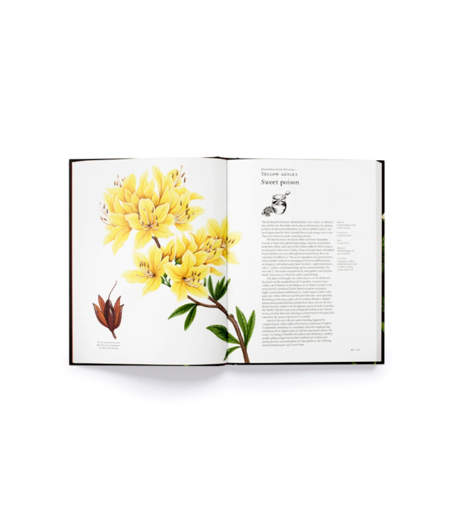 The story of Flowers