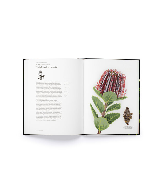 The story of Flowers