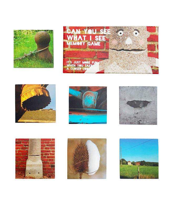 Can You See What I See Memory Game