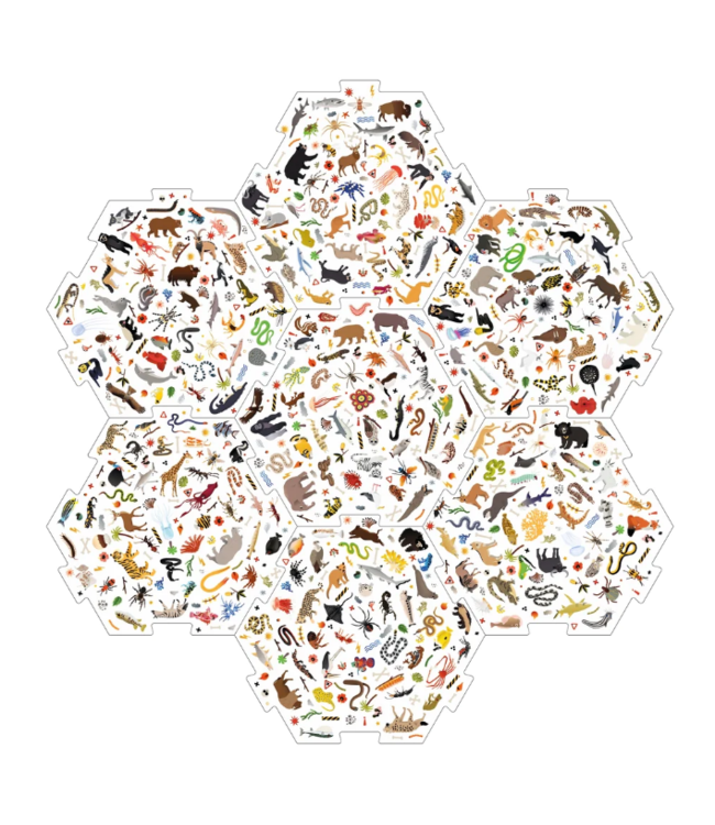 I Saw It First! Danger