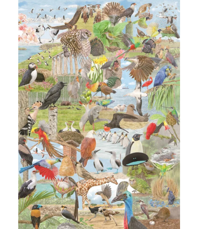 Around the World in 50 Birds