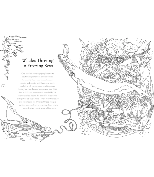 Return of the Wild Colouring Book