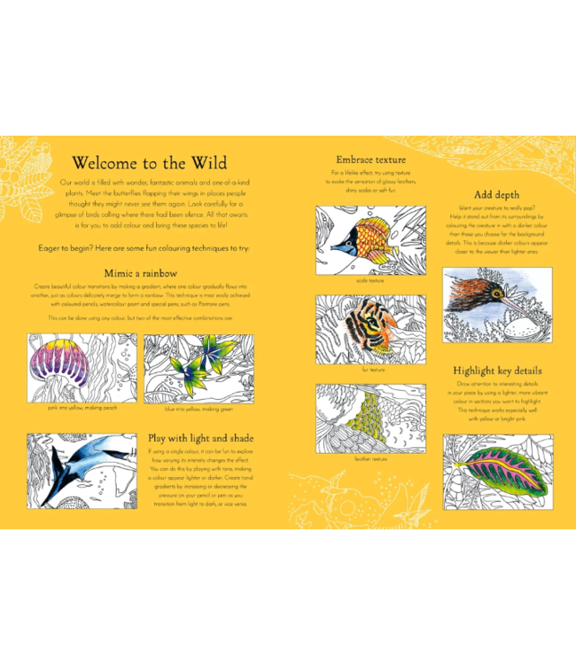 Return of the Wild Colouring Book