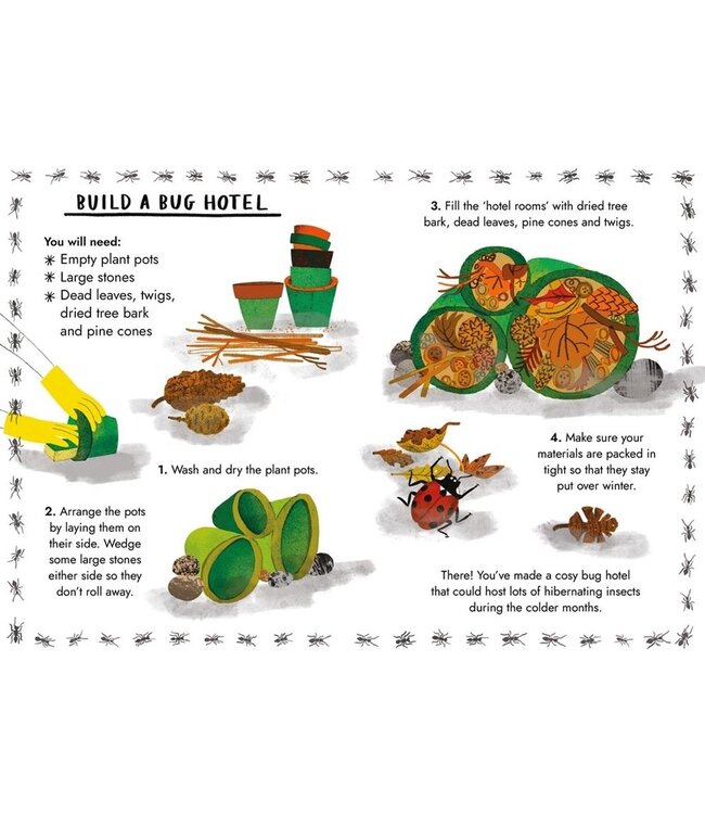 Little Guides to Nature: Hello Bugs