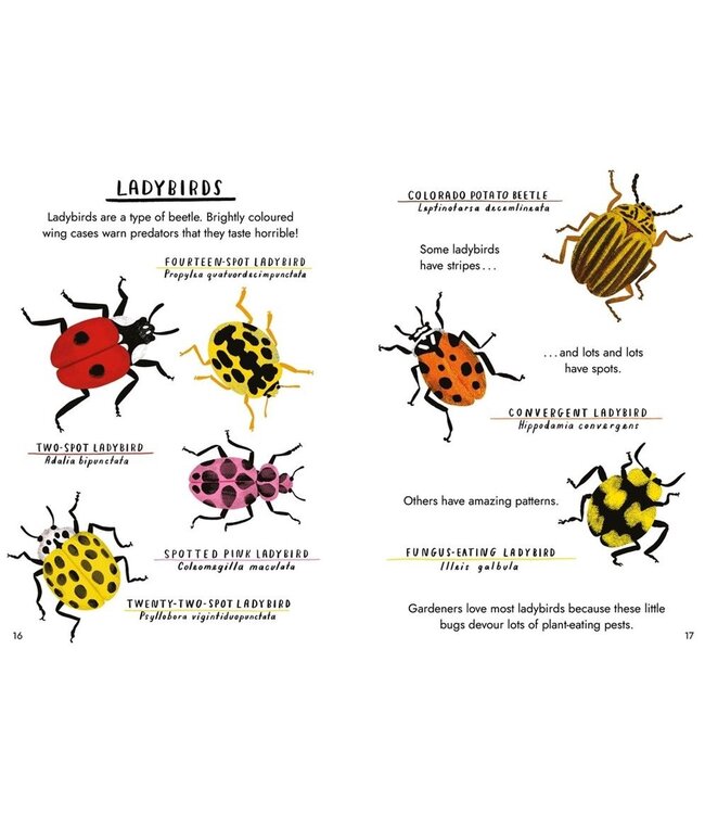 Little Guides to Nature: Hello Bugs